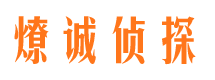 赤城调查取证